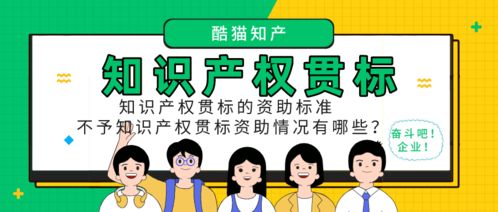 知識產(chǎn)權(quán)貫標資助標準與不資助情況解析